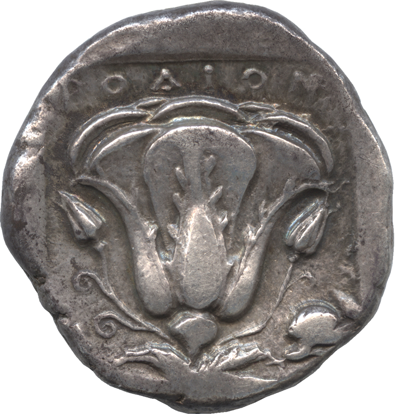 希少 イオニア キオス島 435-350BC NGC認定済み 古代 希少 イオニア